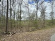 lot 91 butterfly cove trail, decatur,  TN 37322