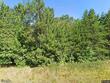 1.4ac on naper hill rd, land o lakes,  WI 54540