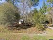 45 bitterroot ave, middleburg,  FL 32068