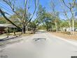 00 rabb, walterboro,  SC 29488