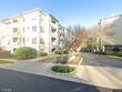  alexandria,  VA 22311