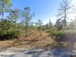 241 barney rd, rincon,  GA 31326