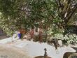 504 mcmechen st, baltimore,  MD 21217