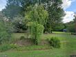 528 red marshall rd, pelham,  NC 27311