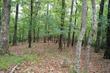 bumpy trail, dawsonville,  GA 30534