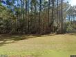 930 red bank rd, walterboro,  SC 29488