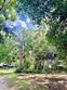 3186 burlington rd, walterboro,  SC 29488