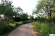 lot 4 wisteria lane, smiley,  TX 78159