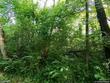 34 waterside way, ottawa,  IL 61350