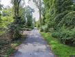 1310 hollins ln #lot 1 and 2, baltimore,  MD 21209