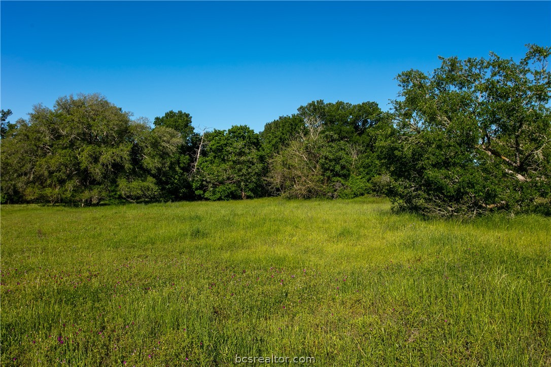 lot 5b brazos court, caldwell,  TX 77836