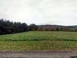 878 cafferty rd, harpursville,  NY 13833