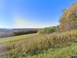  homer,  NY 13077