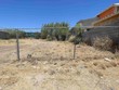519 morales, laredo,  TX 78046