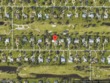 4803 sw bermuda way, palm city,  FL 34990
