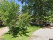  hatley,  WI 54440