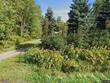  windsor,  NY 13865
