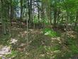 6225 wood lake rd, land o lakes,  WI 54540
