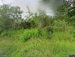 6387 ny-41, homer,  NY 13077