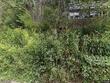 2701 threetop road, creston,  NC 28615