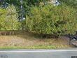 1442 thousand acres rd, delanson,  NY 12053