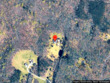5515 herring creek rd, aylett,  VA 23009