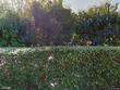 6 riverview rd, hobe sound,  FL 33455