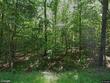 1208 peacehaven rd, chapin,  SC 29036