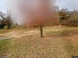 2064 orchard st, kansas city,  KS 66111