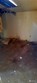 7527 maple st, concrete,  WA 98237