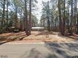 733 rodeo dr, walterboro,  SC 29488