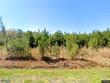 6754 ruffin rd, ruffin,  SC 29475