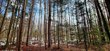 on mishonagon way, lac du flambeau,  WI 54538