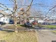 57 hubbard st, cortland,  NY 13045