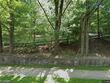 1 broadway, park ridge,  NJ 07656
