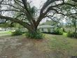  lakeland,  FL 33803