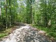 lot 1 anderson lake rd, land o lakes,  WI 54540