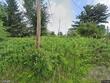  harpursville,  NY 13787