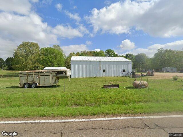 7253 highway 124, mc kenzie,  TN 38201