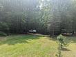 4995 e buck rub rd, custer,  MI 49405