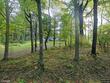 1427 turnbull rd, delanson,  NY 12053