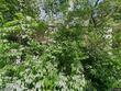 409 summer st, weston,  MO 64098