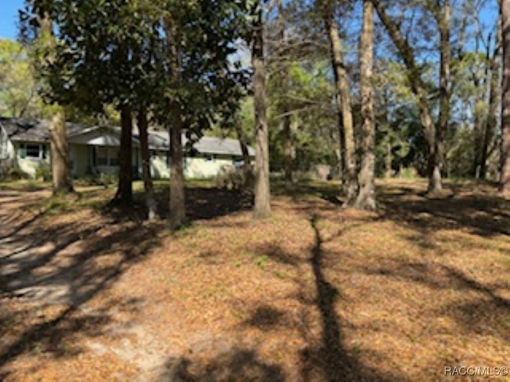 7528 cr 663, bushnell,  FL 33513