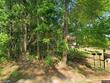 1462 johnsville rd, smoaks,  SC 29481