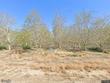  williams,  CA 95987