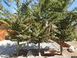  big bear lake,  CA 92315