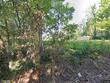 604 shotwell st, richmond,  MO 64085
