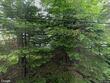lot 10-10b royall road, boothbay,  ME 04544