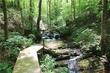 896 birch river dr, dahlonega,  GA 30533