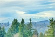  bothell,  WA 98021